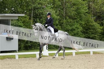 139835_sg_01_IMG_7935.JPG