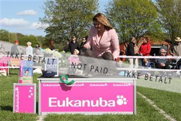 134871_ms_02_IMG_3871.JPG