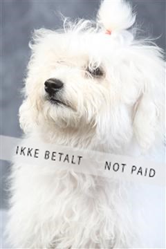 129608_le_ 01_0493.JPG