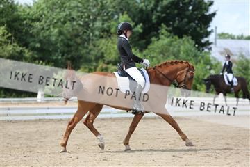 156196_nn_01_IMG_6221.JPG