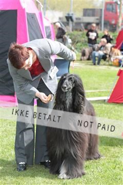 124188 _tl_02_IMG_9495.JPG