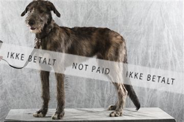 129608_le_ 02_0122.JPG