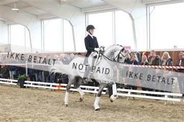 174363_kbb_01_R6II8800.JPG