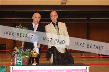 124188 _tl_02_IMG_9743.JPG