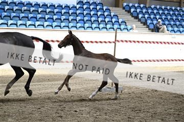 181754_kbb_01_Z092960.JPG