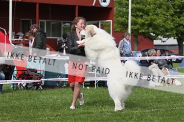 134871_ms_04_IMG_1114.JPG