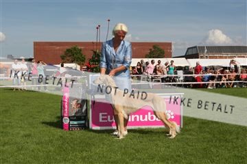130370_se_03_IMG_7796.JPG