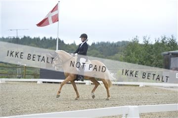 169624_kbb_01__KBB8223.JPG