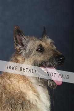 132082_le_ 01_IMG_0905.JPG