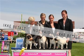 130370_se_02_IMG_6316.JPG