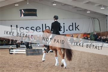 179022_kbb_01_R6II2370.JPG