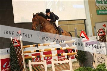 5609_id _39_IMG_7679.JPG