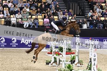 182194_kbb_02_Z099513.JPG