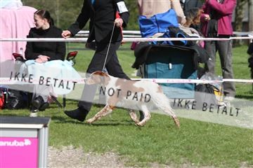 134871_ms_01_IMG_3995.JPG