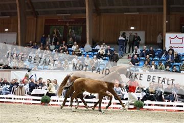 181957_mtp_08_R62_5722.JPG