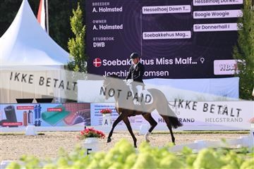 181799_BC_04_00077.JPG