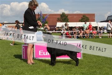 130370_se_03_IMG_7852.JPG