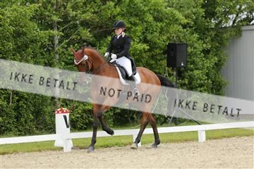 139835_sg_01_IMG_7878.JPG