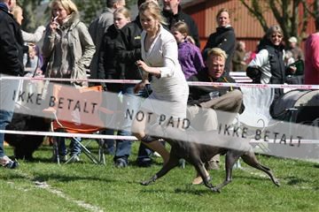 134871_ms_02_IMG_3267.JPG