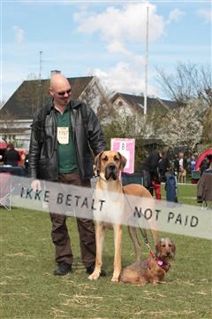 124188 _tl_02_IMG_9502.JPG