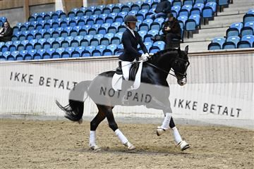 182241_kbb_01_Z094780.JPG