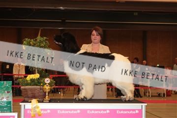 124188 _tl_02_IMG_9519.JPG