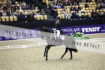 182194_avh_05_2641.JPG