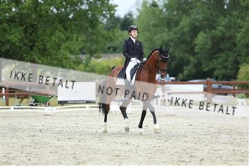 181923_mtp_01_R62_6793.JPG