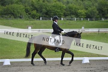 140040_abo_01__AB16931.JPG