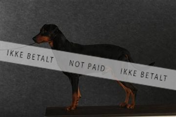 132082_le_ 01_IMG_0766.JPG