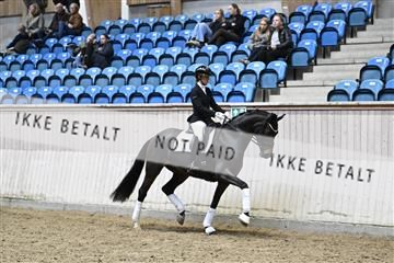 182241_kbb_01_Z093620.JPG