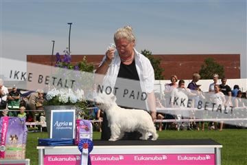 130370_se_02_IMG_6302.JPG