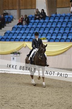 139403_ms_01__MS18390.JPG