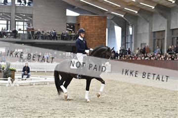 162310_abo_01__D052489.JPG