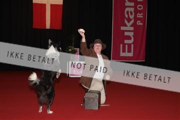 126827_tl_02_IMG_2795.JPG