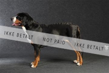 132082_le_ 01_IMG_0024.JPG