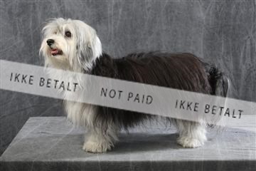 129608_le_ 01_0339.JPG