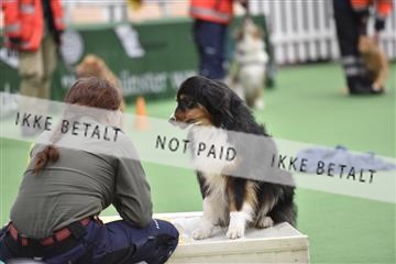 162816_bkn_01__BKN4269.JPG