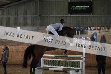 139206_kl_1_8M1Q5206.JPG