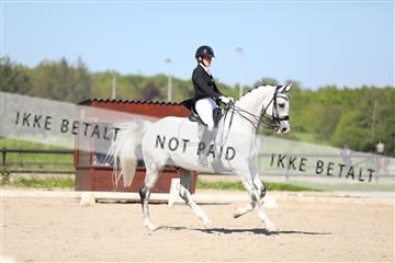 168732_mtp_01_3M5A8241.JPG