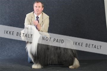 132082_le_ 01_IMG_1056.JPG