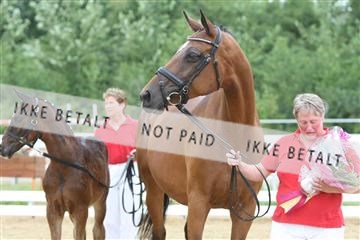 125406_sc_02_IMG_0232.jpg