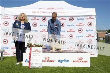 181564_kar_01__62_8386.JPG