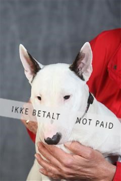 130054_le_ 03_0321.JPG