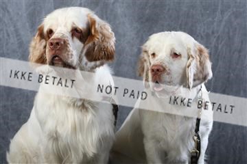 129608_le_ 01_0730.JPG