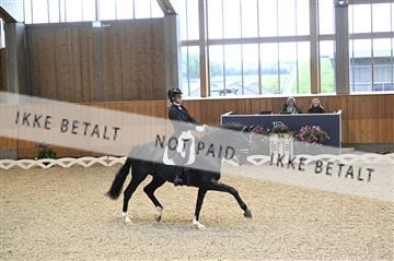 182176_kbb_01_Z093764.JPG
