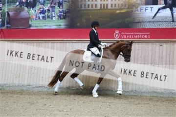 181887_mtp_04_R62_8310.JPG