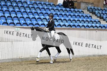 182241_kbb_01_Z095094.JPG