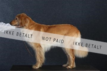 132082_le_ 01_IMG_0665.JPG