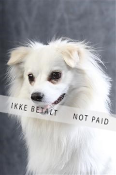 129608_le_ 01_0319.JPG